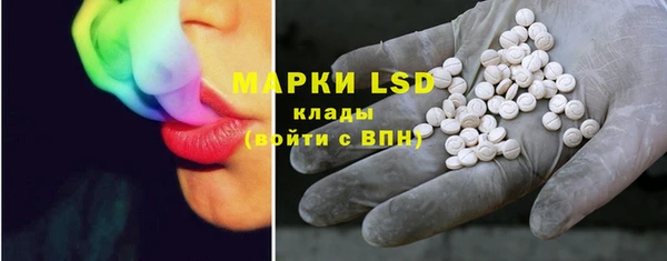 шишки Баксан