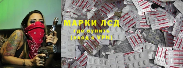 шишки Баксан